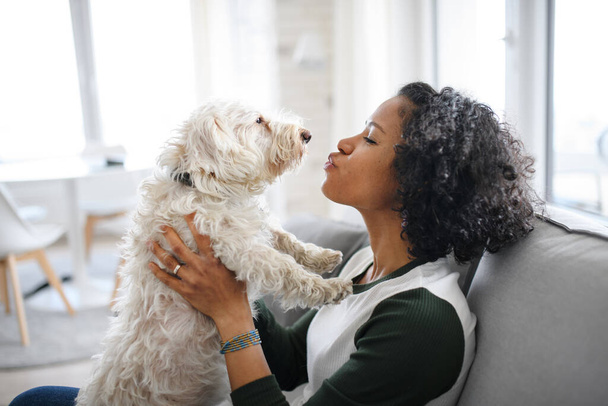 Portrait of happy mature woman sitting indoors at home, playing with dog. - Photo, Image