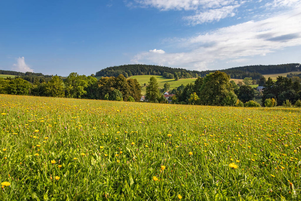 Летний пейзаж с цветущим лугом, деревьями и голубым небом с белыми облаками - Чехия, Европа - Фото, изображение
