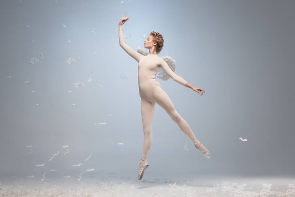 Full-length portrait of beautiful graceful ballerina dancing in image of angel with wings isolated on gray studio background. Art, motion, action, flexibility, inspiration concept. - 写真・画像