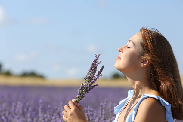 Side view portrait of a happy woman smelling lavender flowers bouquet in a field - Photo, image