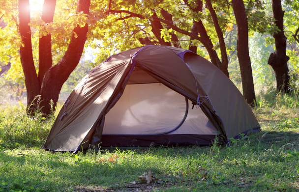 日当たりの良い緑の森の中の観光キャンプのテント - 写真・画像