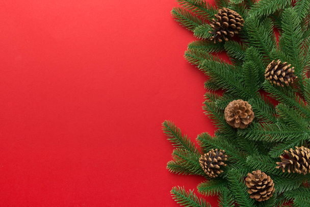 Christmas holiday background with copy space for advertising text. Fir branches and pine cone on color background . Flat lay, top view. - Φωτογραφία, εικόνα