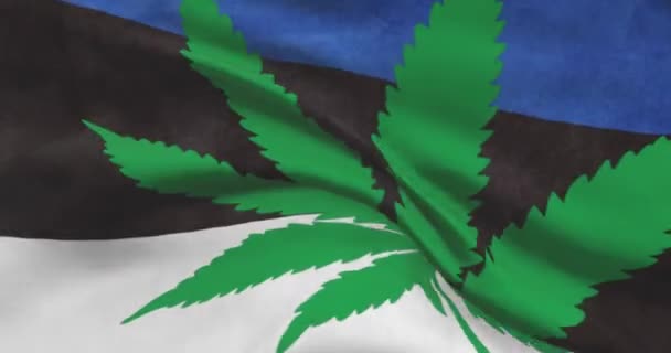 Estnische Nationalflagge mit Cannabisblatt. Rechtlicher Status von medizinischem Marihuana im Land. Estnische Regierung und THC. Gesellschaftliches, Politik, Straf- und Gesetzesnachrichten zum Thema Unkraut - Filmmaterial, Video
