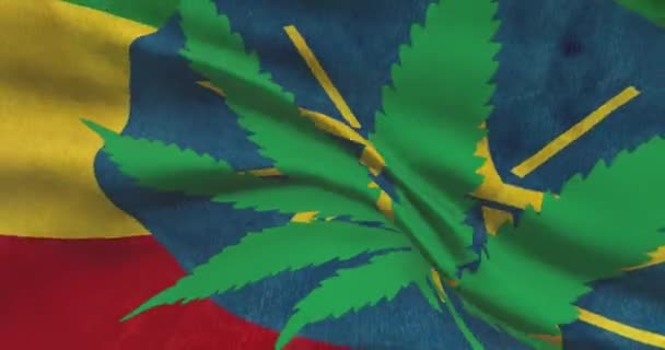 Äthiopische Nationalflagge mit Cannabisblatt. Rechtlicher Status von medizinischem Marihuana im Land. Äthiopiens Regierung und THC. Gesellschaftliches, Politik, Straf- und Gesetzesnachrichten zum Thema Unkraut - Filmmaterial, Video