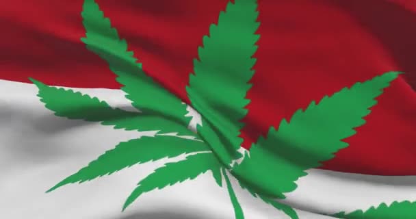 Monaco Nationalflagge mit Cannabisblatt. Rechtlicher Status von medizinischem Marihuana im Land. Monaco und THC. Gesellschaftliches, Politik, Straf- und Gesetzesnachrichten zum Thema Unkraut - Filmmaterial, Video