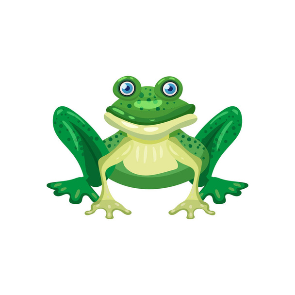 Cute żaba zielony kolor, siedzi, zwierząt płazów, ikona. Wektor ilustracja kreskówka styl izolowany - Wektor, obraz
