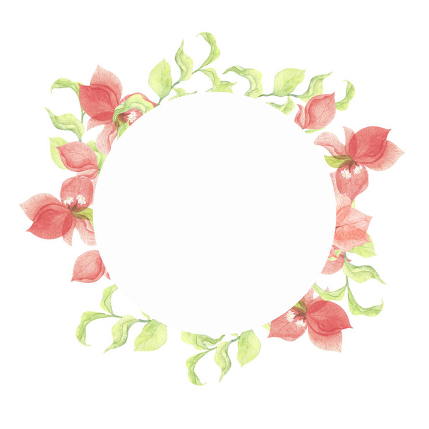 Round frame with red bougainvillea flowers. Watercolor floral illustration isolated on white background. Drawing for printing postcards, invitations, covers. - Фото, зображення