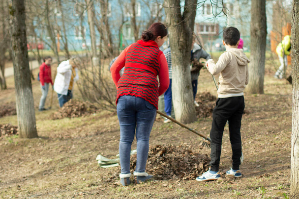 Cleaning of leaves with a rake. Cleaning the area from fallen leaves. Putting order in the yard. - Fotó, kép