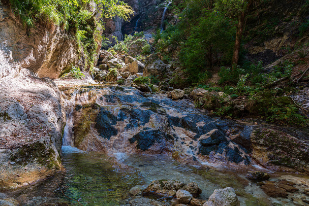 La Camosciara - це великий природний заповідник з стежками для досвідчених мандрівників і початківців, наочними поглядами та дикими тваринами. Це невід'ємна частина національного парку Абруццо, Лаціо і Моліса. - Фото, зображення