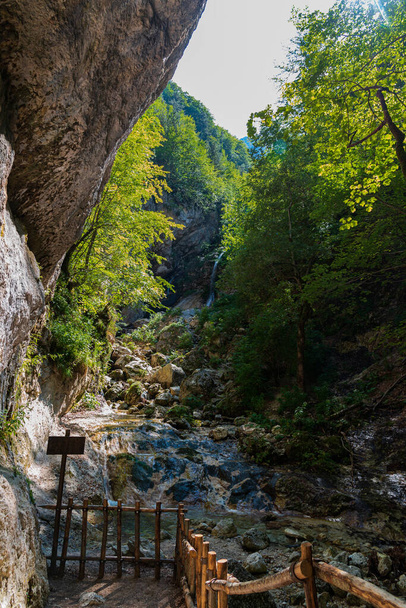 La Camosciara é uma extensa reserva natural com trilhas para caminhantes experientes e iniciantes, vistas sugestivas e vida selvagem. É parte integrante do Parque Nacional Abruzzo, Lazio e Molise - Foto, Imagem