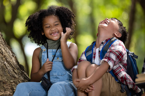 Afro-américains ethnie garçon et fille enfants assis sur un grand arbre parlant joyeusement dans le parc, voyage aventure vacances d'été concept  - Photo, image