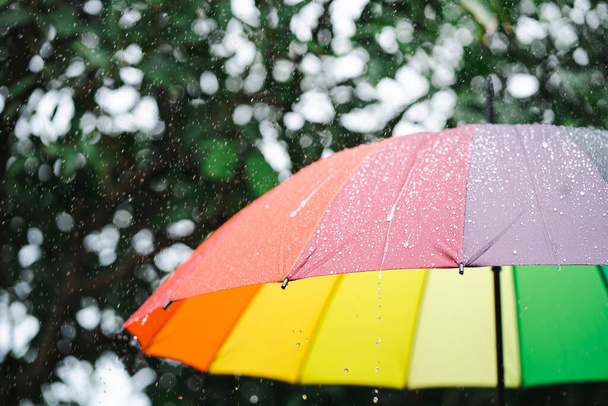 Regen auf Regenbogen-Regenschirm. - Foto, Bild