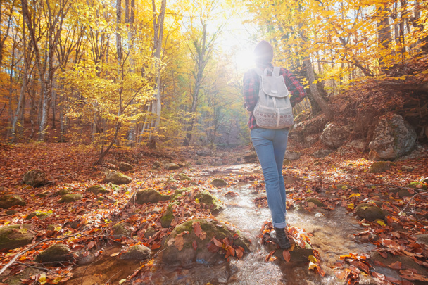 Escursioni donna guardando vista panoramica del paesaggio fogliame autunno. - Foto, immagini