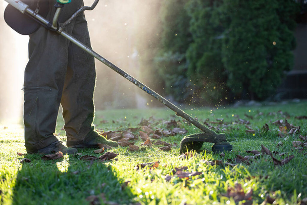 Mowing the grass with a lawn mower. Garden work concept background. - Foto, Bild
