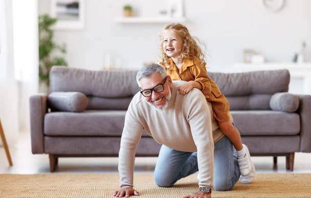 Cute little girl granddaughter playing and having fun with active positive grandfather, senior man grandpa giving piggyback to excited child and smiling at camera while taking care of kid at home - 写真・画像