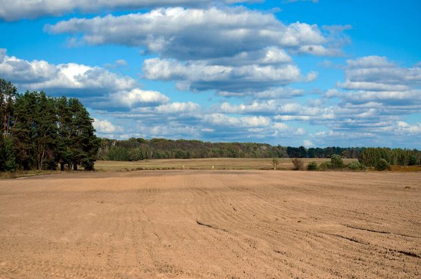 tiszta szántott mezőgazdasági terület kék égbolttal a láthatáron. Fekete talajú talaj, használatra kész. - Fotó, kép