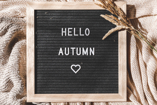 秋の背景。文字のフレーズと黒の文字板こんにちは秋と乾燥した植物白いニットセーターに横たわっている。トップビューのフラットレイアウト。感謝祭のバナー。巨大な気分冷たい天気の概念 - 写真・画像