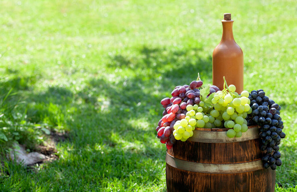 Varie uve colorate e bottiglia di vino sulla botte di vino sul giardino all'aperto soleggiato con spazio copia - Foto, immagini