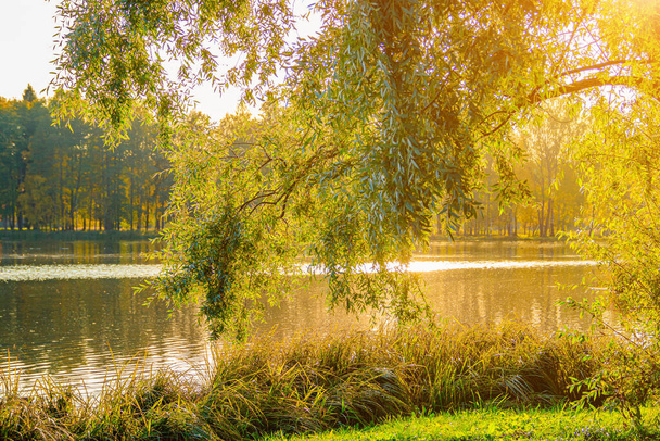 Paisagem do parque de outono com um lago. Outono. Uma nova época. Bela paisagem. Árvores amarelas Fotos para produtos impressos. Um artigo sobre o Outono. Parque - Foto, Imagem