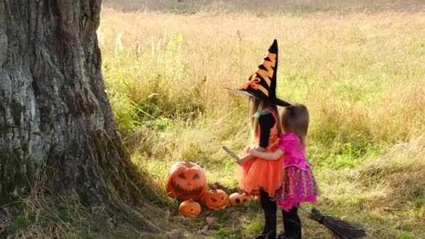 Dos chicas en un campo bajo un gran roble están de pie con una escoba y disfraces de carnaval para Halloween. Unas vacaciones divertidas para los niños. Vestidos de bruja naranja y rosa. Gran sombrero negro. Truco o tratamiento  - Imágenes, Vídeo