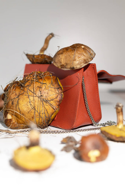 Міцелієві шкіряні сумки є екологічно чистою альтернативою шкірі. Виготовляється з грибкових спорів та рослинних волокон. Інноваційні матеріали для грибного текстилю. Еко-біорозкладні Веганська Шкіра
 - Фото, зображення