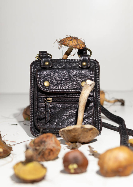 Mycelium leather bags are eco-friendly alternative to leather. Made from fungal spores and plant fibers. Innovative materials for mushroom textiles. Eco Biodegradable Vegan Leather - Photo, Image
