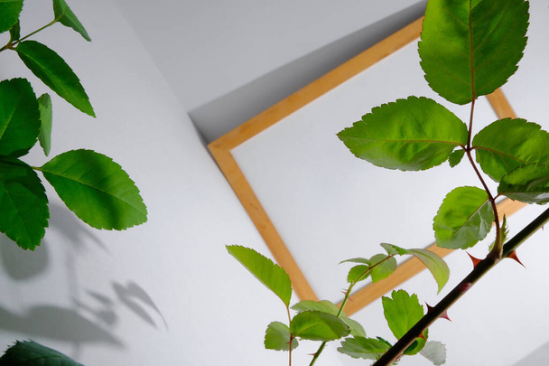 White paper in a wooden frame surrounded by greenery. Mockup for the poster. - Fotó, kép