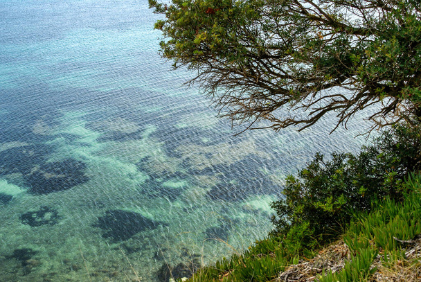 Scenic view of the seabed through clear water near Cape Sani, Chalkidiki Peninsula, Kreikka - Valokuva, kuva