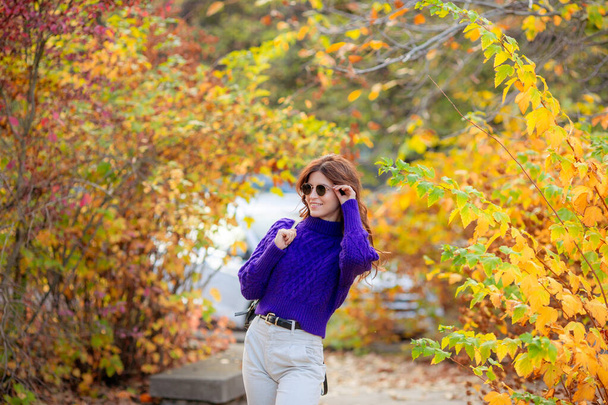 una mujer joven en un parque de otoño en un suéter púrpura - Foto, imagen