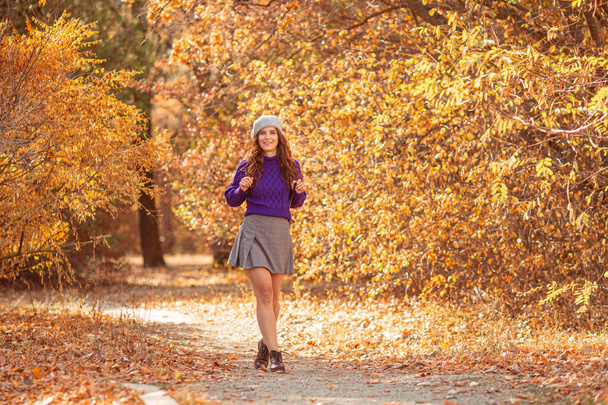 μια νεαρή γυναίκα σε ένα πάρκο του φθινοπώρου σε ένα μωβ πουλόβερ - Φωτογραφία, εικόνα