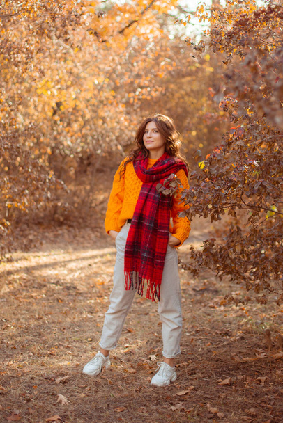 młoda kobieta w pomarańczowym swetrze owija się w szalik w jesiennym parku - Zdjęcie, obraz