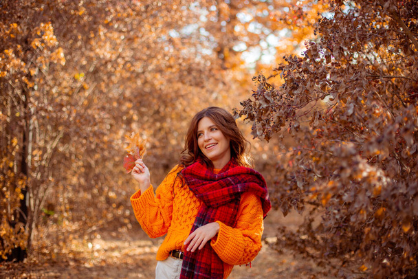 een jonge vrouw in een oranje trui wikkelt zich in een sjaal in een herfstpark - Foto, afbeelding
