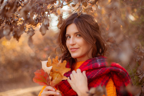 μια νεαρή γυναίκα σε ένα πάρκο του φθινοπώρου σε ένα πορτοκαλί πουλόβερ - Φωτογραφία, εικόνα
