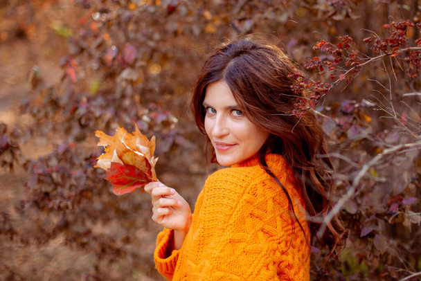 una mujer joven en un parque de otoño en un suéter naranja - Foto, imagen