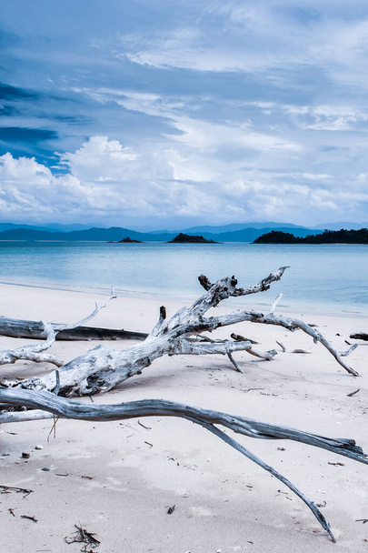 Vista al mar de la playa de troncos con islas tropicales en el mar azul. Playa vacía en temporada de monzones. Islas Japonesas, Ranong, Tailandia. Centrarse en los registros. - Foto, imagen