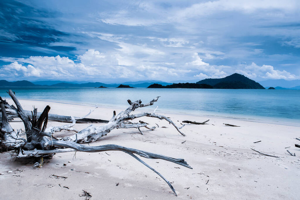 Zeegezicht op het logboek strand met tropische eilanden in de blauwe zee. Leeg strand in het moessonseizoen. Japanse eilanden, Ranong, Thailand. Focus op logs. - Foto, afbeelding