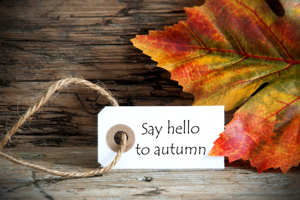 Tag with Say Hello to Autumn - Photo, Image