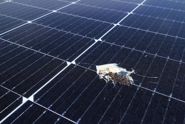 Poop de pássaro no painel solar PV - Foto, Imagem