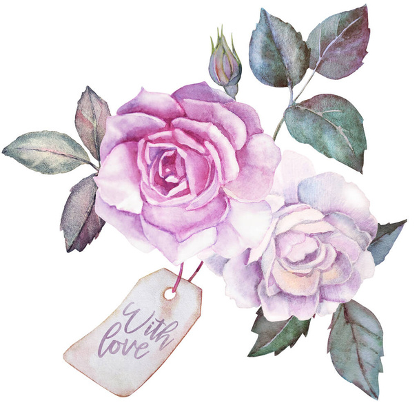 pink roses on a white background - Photo, image