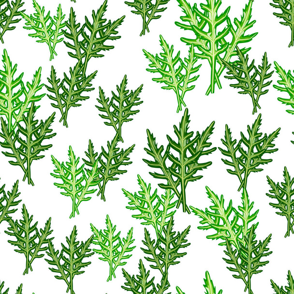 Seamless pattern bunch arugula salad on white background. Modern ornament with lettuce. Random plant template for fabric. Design vector illustration. - Vector, Image