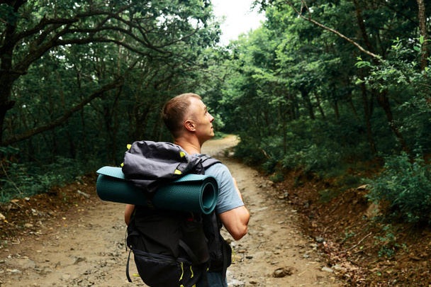 A hiker with a large travel backpack walks along the road in a dense forest. - Foto, immagini