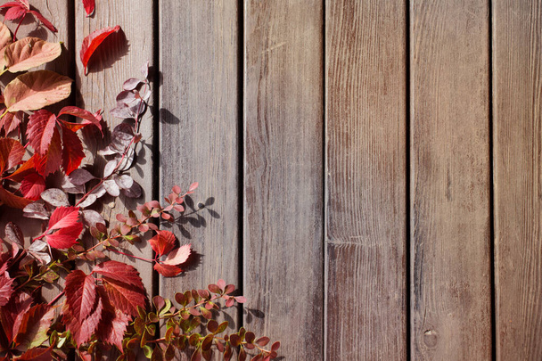 red autumn leaves on old wooden background - Foto, afbeelding