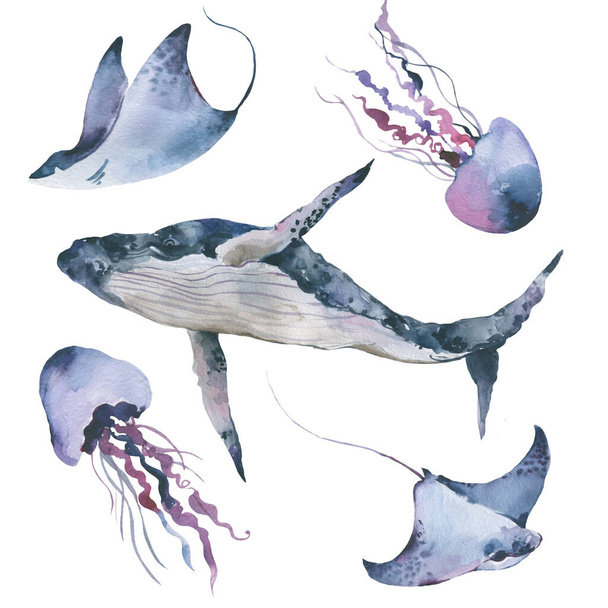 sea, set, animal, underwater, watercolor, illustration, Nautical, Hand painted, stingray, Blue, Medusa - Φωτογραφία, εικόνα