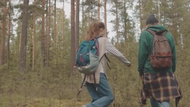 Slowmo tracking średni widok z tyłu ujęcie młodej aktywnej pary z plecakami spacerujących w lesie trzymając się za ręce w chłodny poranek - Materiał filmowy, wideo