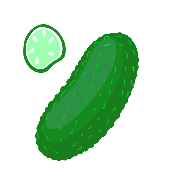 Vector Cartoon Ολόκληρο και φέτα πράσινο αγγούρι απομονωμένο σε λευκό φόντο. - Διάνυσμα, εικόνα
