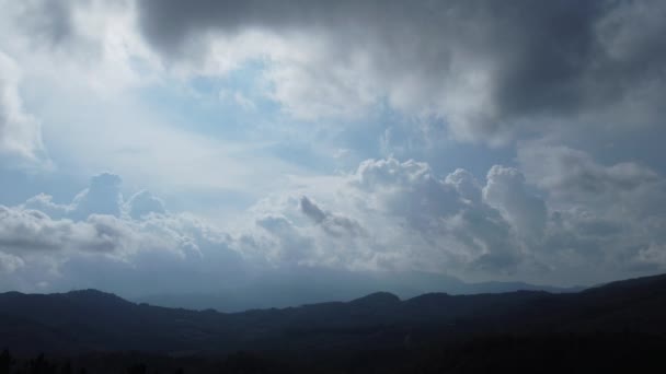 Vista del cielo nublado sobre el bosque con nubes en movimiento - Imágenes, Vídeo
