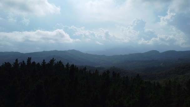 Ver céu nublado sobre a floresta com nuvens em movimento - Filmagem, Vídeo