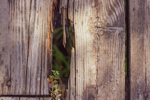 A hole in the wood flooring. Broken boards. A rift in a wooden bridge. - Foto, afbeelding