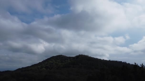  Vista del cielo nublado sobre el bosque con nubes en movimiento - Imágenes, Vídeo