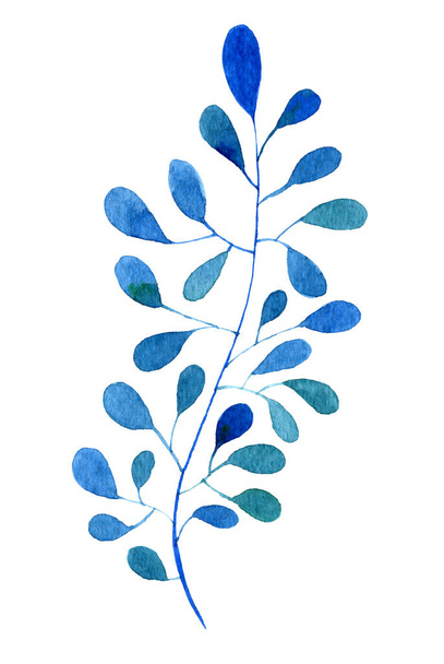 Watercolor hand painted abstract Blue Flower - 写真・画像